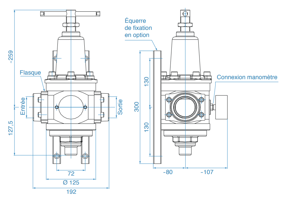 r310 2d