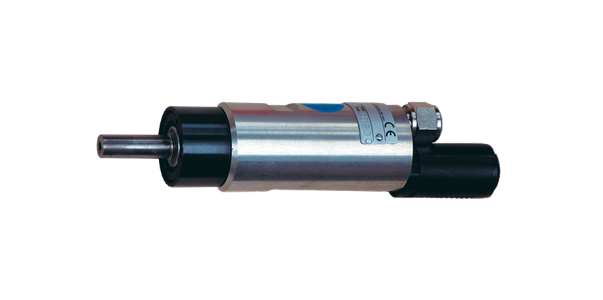 Pneumatic motor